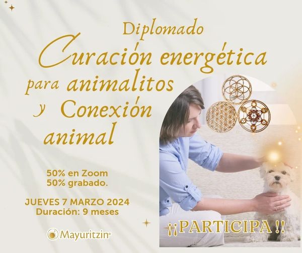 Diplomado Conexión Animal y curación etérica para animalitos
